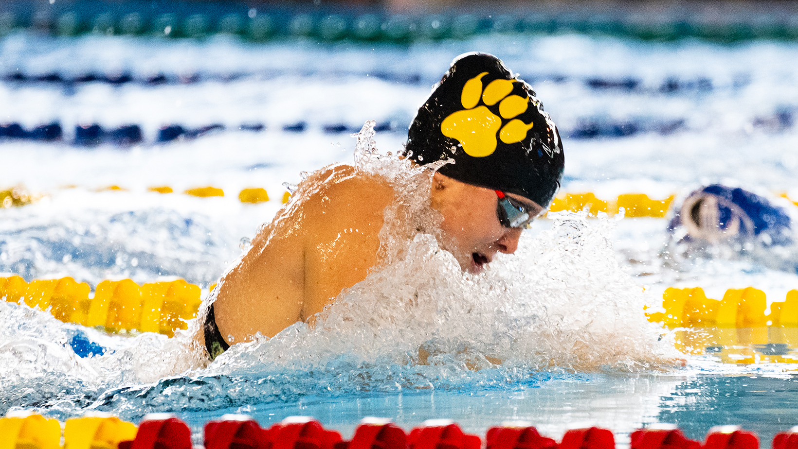 Swimming Fund 2024/25