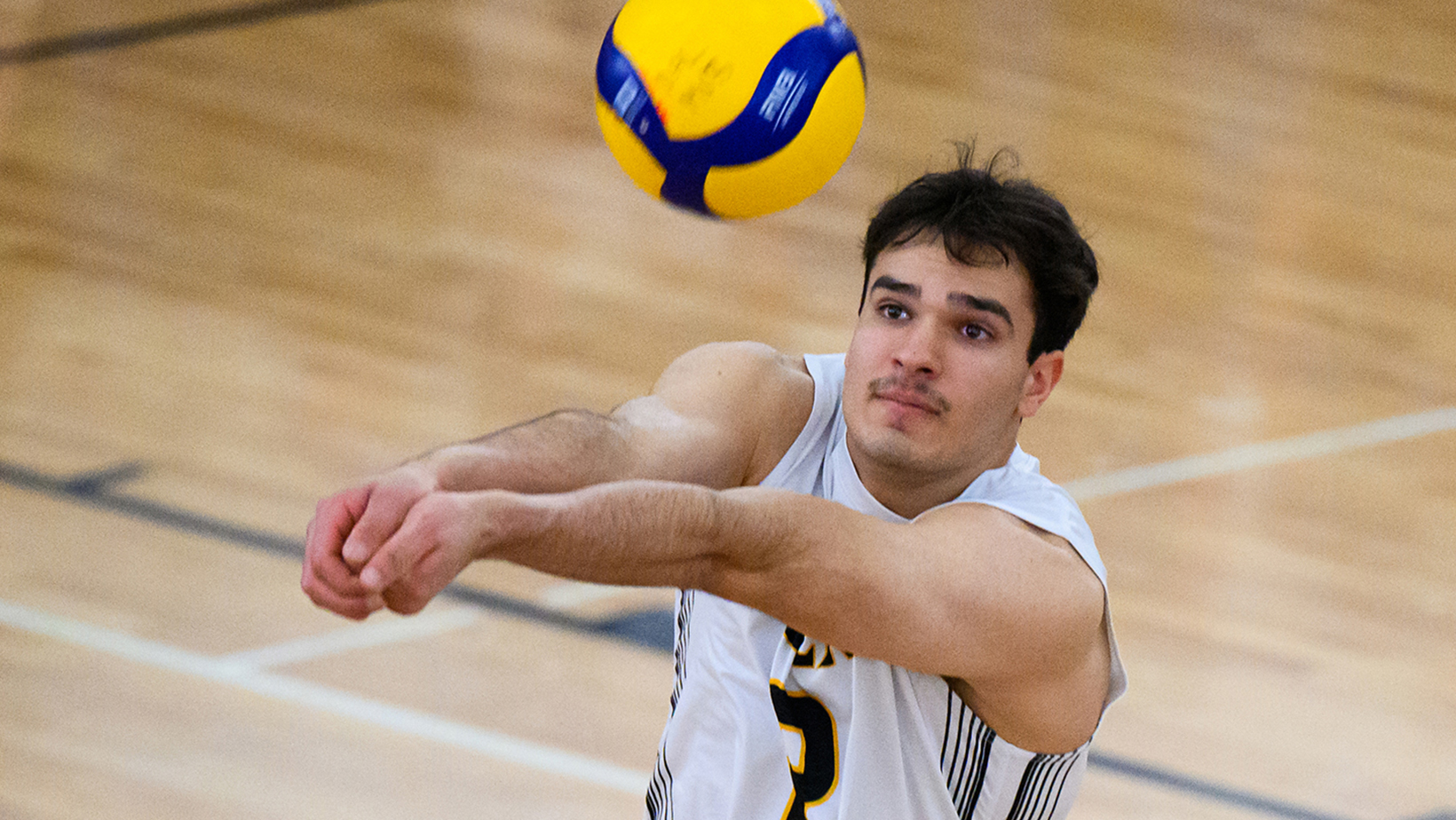 Men’s Volleyball Fund